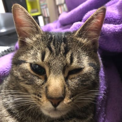 miroku2776763's profile picture. 