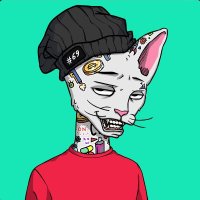 Yolo pon (@eth_yoloo1) 's Twitter Profile