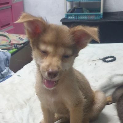 Santi_423's profile picture. i wanna be