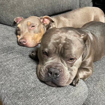 hikarifuji0126's profile picture. 