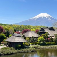 さくらもち (@sakur_moch) 's Twitter Profile