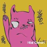 Hilal Cömert (@hil_allromertc) 's Twitter Profile