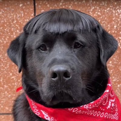 four_bid's profile picture. MechE, automation, always learning & often kidding