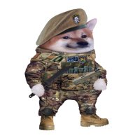 sajbicz fella 🜂 bring the war to them 🜂 (@sajbicz) 's Twitter Profile