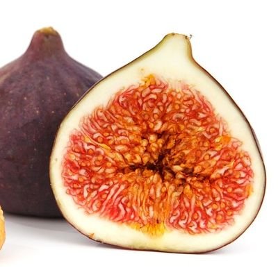 Vega_Bajina's profile picture. De la mismica higuera de Miguel Hernández. 
Crítica de la actualidad. 
Ante el auge de la derecha, 
perdóname que te diga: 
el facherío 
me va a comer la figa ✊