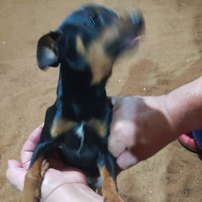 wfuckass's profile picture. Em busca de aventura. ( NSFW 🔞 )