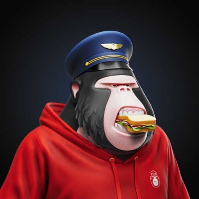 icecap1983's profile picture. Software quality assurance analyst locating in Milwaukee #defi #btc #ethereum