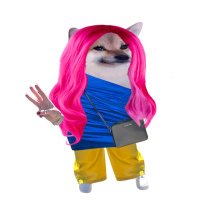 nikomutsei (@nikomutsei) 's Twitter Profile