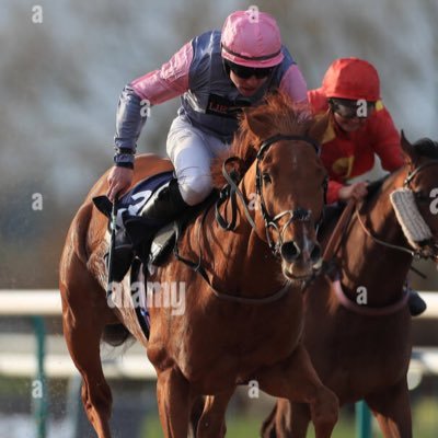 Amateur jockey @ Ian Williams Racing 🏇🏻 Irish ☘️