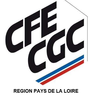 Bienvenue sur la page de l'Union Régionale Pays de la Loire pour vous informer des actions de la CFE-CGC sur les départements 44, 49, 53, 72 et 85