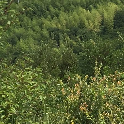 からまいさんのプロフィール画像