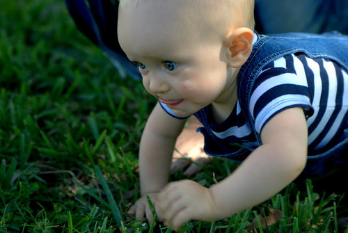 alisonjhaupt's profile picture. 