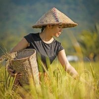 🐣𝒲𝒾𝒹𝒽𝒾𝒟𝒽𝒾𝓃𝒶𝓇🐥🐤 (@anianiwidi6) 's Twitter Profile Photo