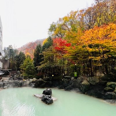 温泉♨️が好きです。心が癒されて、肌もツルツルになります。硫化水素の匂いのする酸性の温泉も良いですし、アルカリ性の温泉も好きです。フォロバ100。