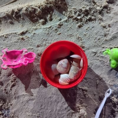 Arifasiddiki's profile picture. Mother of 2. Happy housewife.
Alhmdulillah