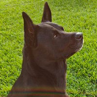 Qwerty (@qwerty__1978) 's Twitter Profile