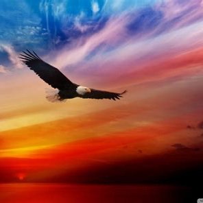 Join us to share ways we—as individuals, localities, counties, and states—plan to and are celebrating the 250th anniversary of US independence on July 4th, 2026