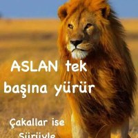 Mehmet aslan (@mehmet__miroglu) 's Twitter Profile