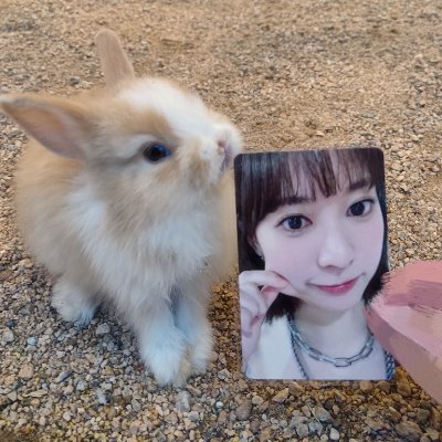 RingHika's profile picture. 