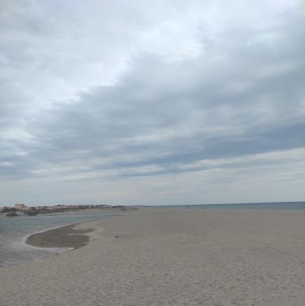 salega_'s profile picture. 