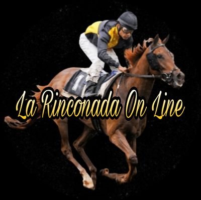 Hipódromo la rinconada; Análisis, datos , información hípica , fotos ,videos ,historias , efemérides, biografías 🐎 entretenimiento para el amante hípico 🇻🇪