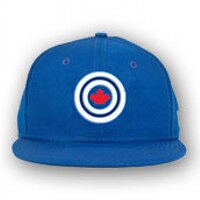 Ottawa 'AA' Baseball (@ottawabaseball) 's Twitter Profile