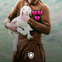 Shinullah Wesal Sabari (@shinullah_wesal) 's Twitter Profile Photo Shinullah Wesal Sabari (@shinullah_wesal) 's Twitter Profile Photo