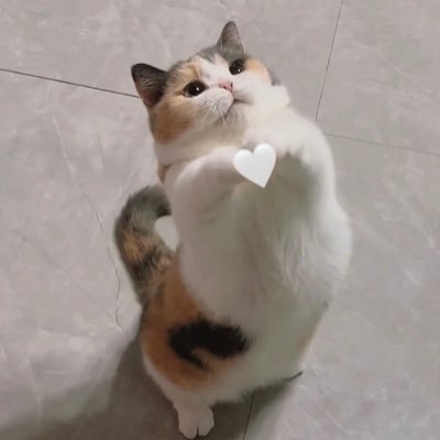 noonooono1's profile picture. 19岁天才少年