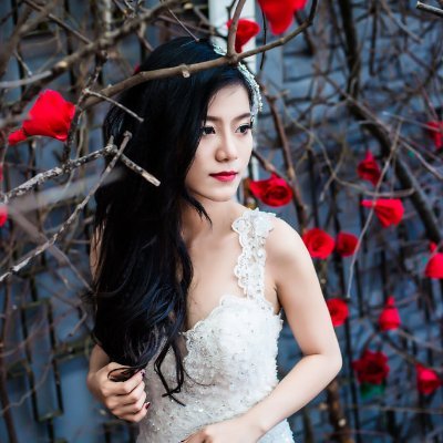 AmiraGonzalr710's profile picture. Total introvert. Gamer. Food specialist. Troublemaker. Award-winning organizer.