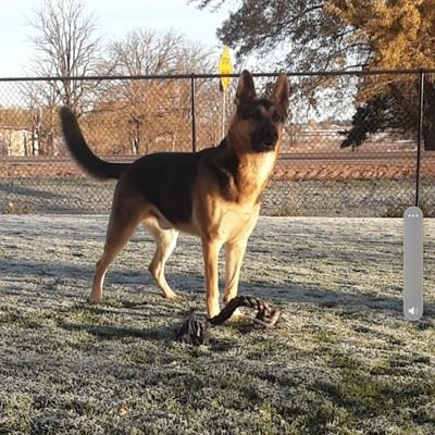 RodK42A's profile picture. 🇺🇸America first 🇺🇸