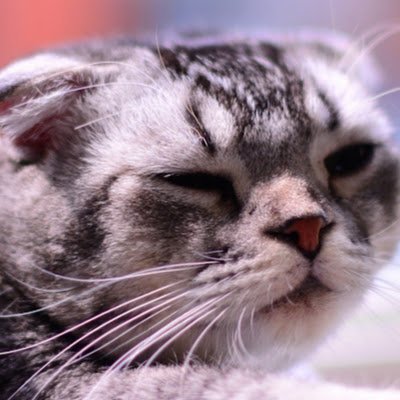 chenwu969809's profile picture. 