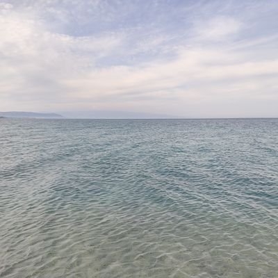 poetry_2510's profile picture. Generatrice di punti interrogativi