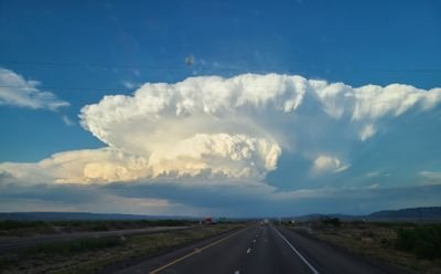 rltan36's profile picture. 