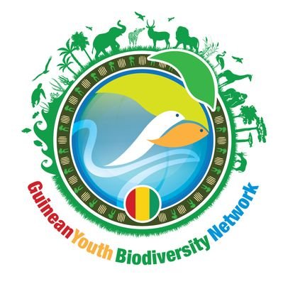 Réseau des Jeunes Guinéens pour la Biodiversité | Chapitre de @GYBN_CBD | Reconnu par @UN | Engagé pour les actions en faveur de la #Biodiversité | #GYBNGN