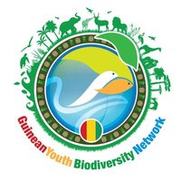 Guinean Youth Biodiversity Network(@GybnGuinea) 's Twitter Profile Photo