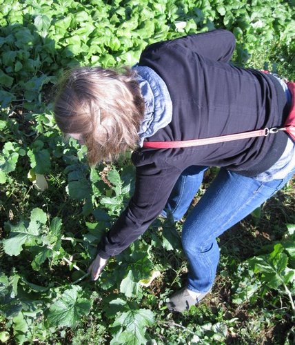 carolharrol's profile picture. 