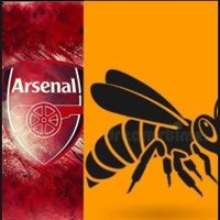 Arsenal Bees🐝❤️(@gooner_liam09) 's Twitter Profile Photo