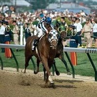 GT HIPICO (@hipicogt) 's Twitter Profile