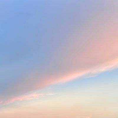 CarrotChin's profile picture. 