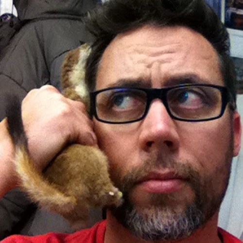 Stoatphone's profile picture. owns a little bar in Wellington and loves filling it with stuff.