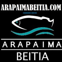 ARAPAIMABEITIA.COM(@arapaimabeitia) 's Twitter Profile Photo