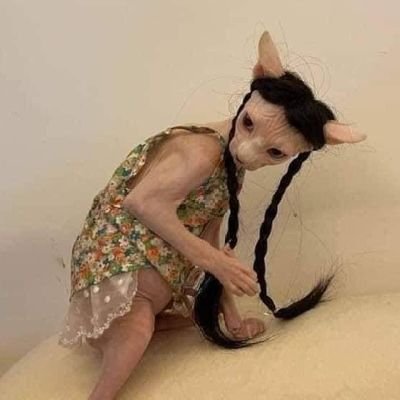 iamliilljj's profile picture. 