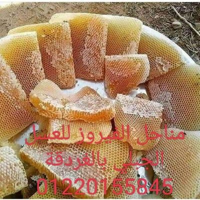 ملك النحل والعسل بالغردقة
01220155845