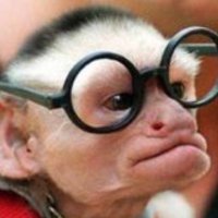 “Boss” wisemonkey (@wisemonkeyuk) 's Twitter Profile