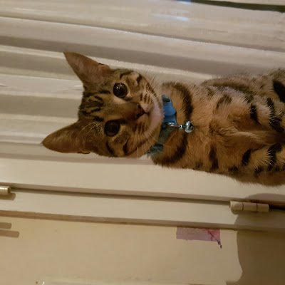 ADelavegax88685's profile picture. 