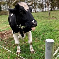Clara Verstand (@verstand_c50313) 's Twitter Profile Photo Clara Verstand (@verstand_c50313) 's Twitter Profile Photo