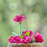 najme (@mehrbanoo_13_13) Twitter profile photo