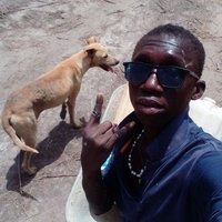 Madiba Kinteh (@kintehmadi3726) 's Twitter Profile