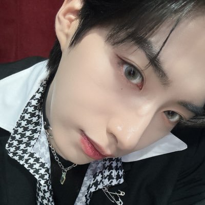 🐿️🐥🐰🐯🐶