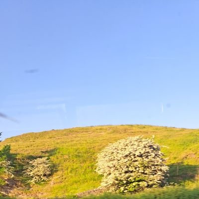 carbonchicken21's profile picture. Solidarity with the RMT! If rail workers don't need a payrise w/ 9% inflation, MPs should return their payrise UClan alumni, proud (nth) Redingensian in exile.